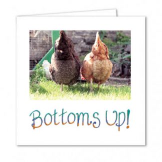Chicken Celebration Card