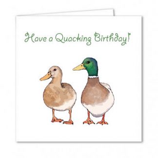 Duck Birthday Card