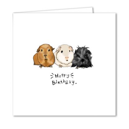 Guinea Pig Birthday Card